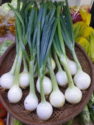 Hành Tây Tươi - Thiên Sinh Farm